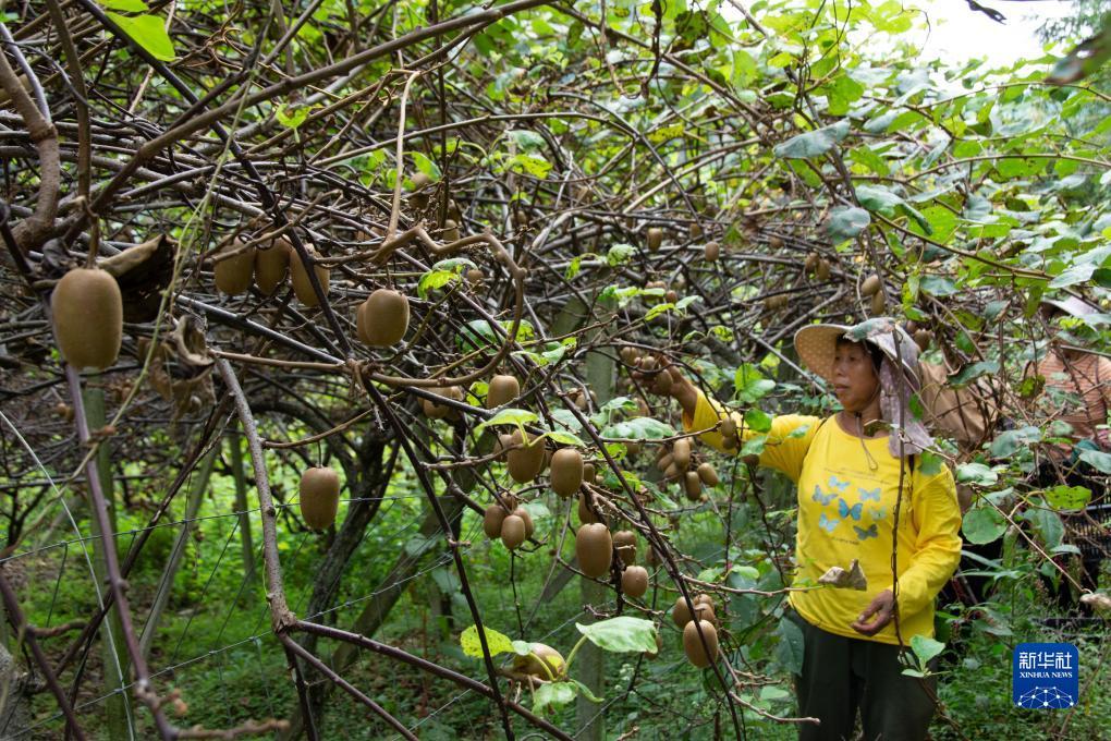王者捕鱼游戏下载